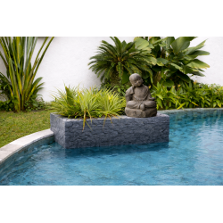 Shaolin "Relax" Offrande