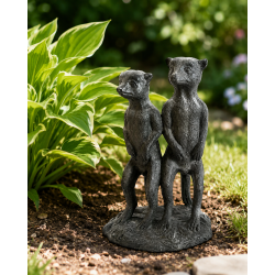 Couple de Suricates dressés